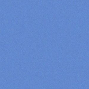 Meet your Posher, Eva